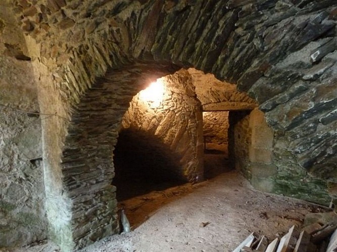 chateau-de-pugny