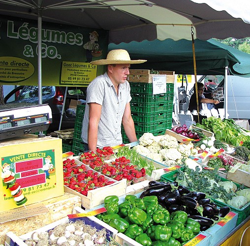 GAEC "Légumes and co"