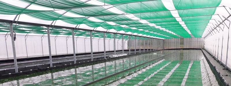 ombrage-bassin-paysage