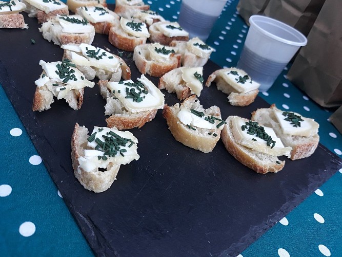 120558822_1215479295488930_6007941898183864164_n