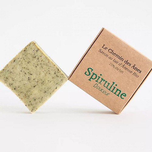 319362011_596244342303426_2284857718642812947_n