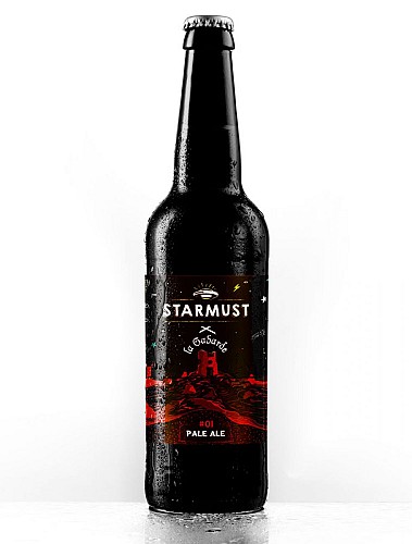 bière-artisanale-bio-starmust