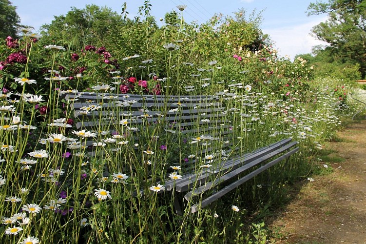 Ambiance au jardin