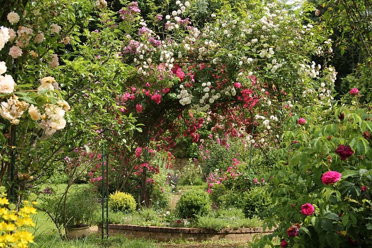 Jardin en fleurs