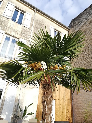 L'extérieur