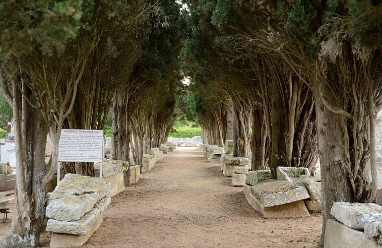 Nécropole Mérovingienne