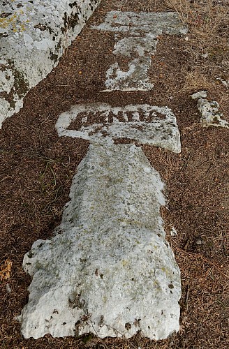 Nécropole Mérovingienne