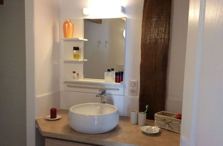 salle-de-bain-les-rosiers