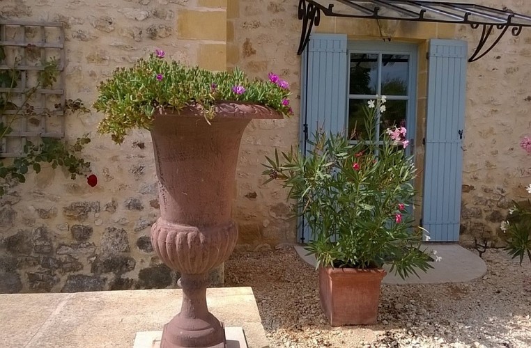 Les rosiers