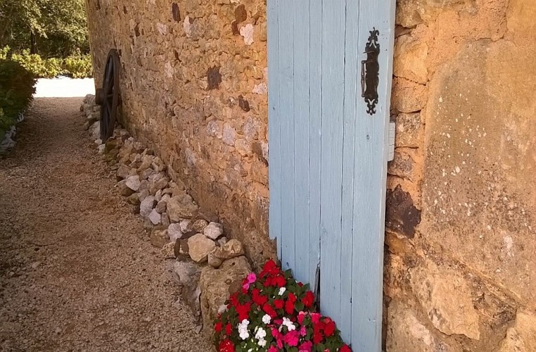Les rosiers