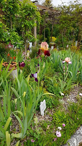 ©Au Paradis des Fleurs et des Oiseaux 1