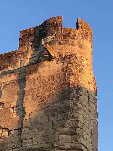 05-Forteresse de Berrye