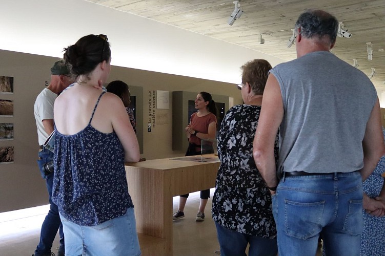 Musée de Préhistoire - Visite guidée