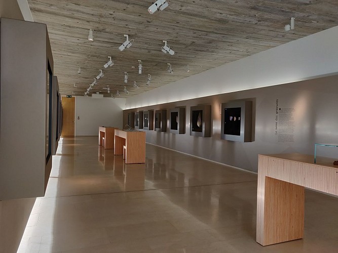 Musée de Préhistoire - espace 4