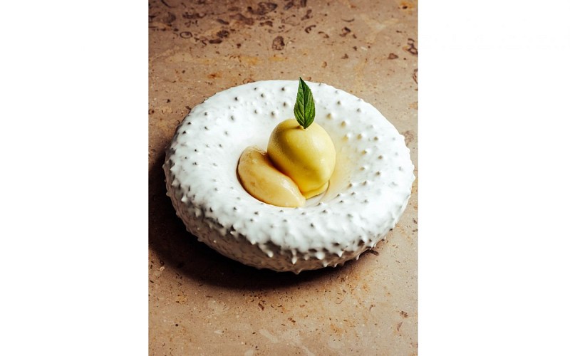 e33c826d-d95c-41d5-a07f-35f82058e456_TS_1440x900