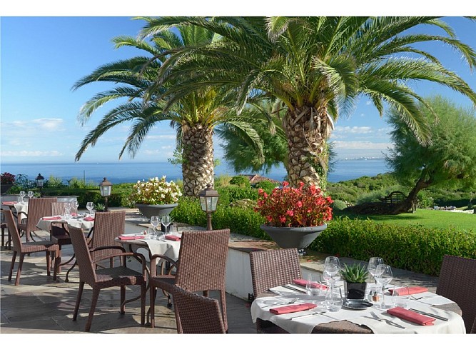 iluraTerrasse-Palmier