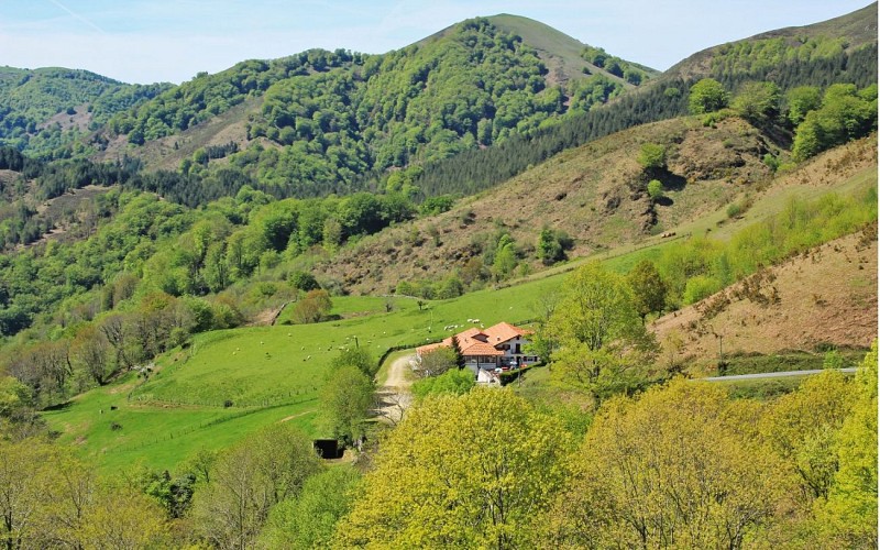 PHOTO-BURKAITZ--2--1440x900