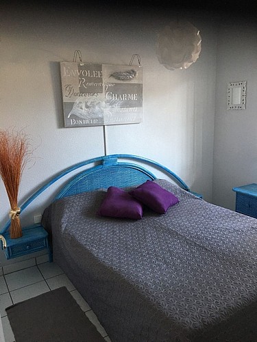 2021_izard (6) (Copier)