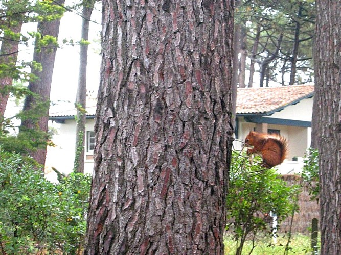 exterieur-bazas-delgoulet-3