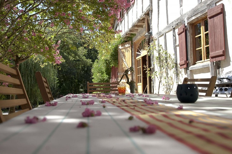 SarrailhdeGaranx-Terrasse2-Pouillon