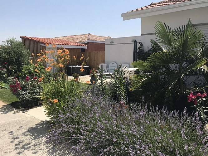 2023_fernandes (3) (Copier)