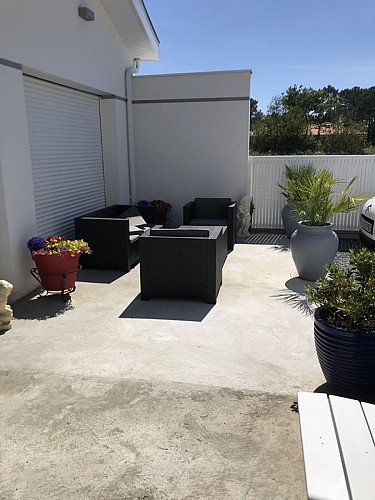 2022_fernandes (5) (Copier)