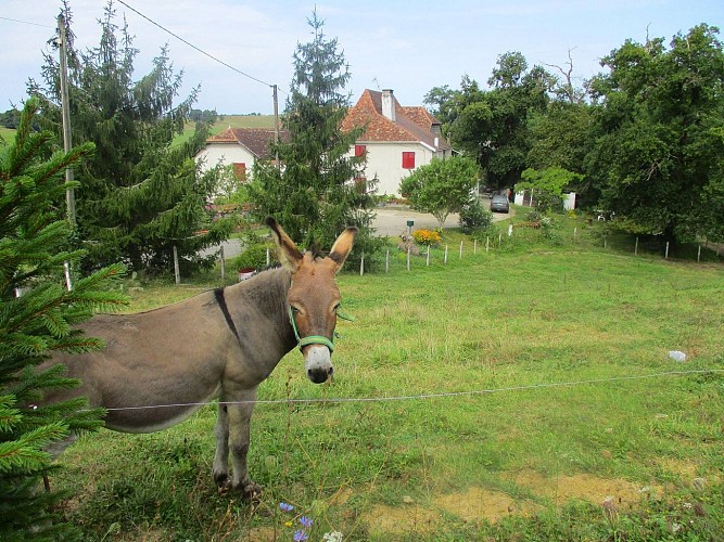 Maisonnette Aubagna3