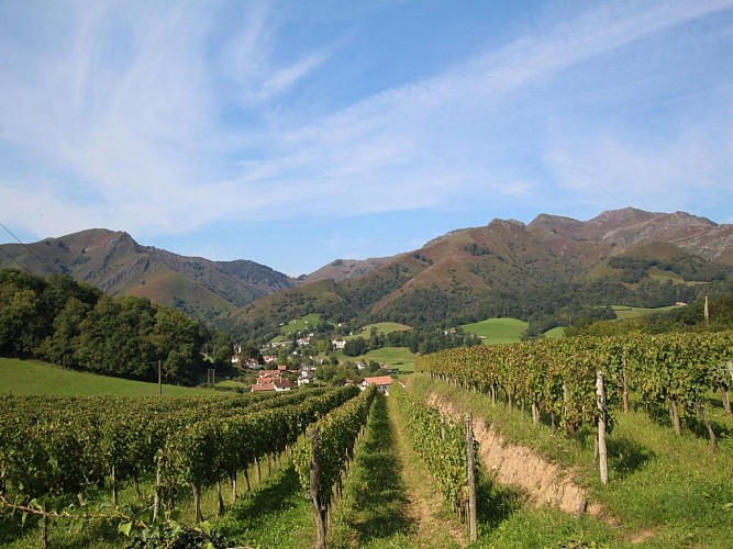 Appartement Biscar - Vue village et montagne - St Etienne de Baigorry