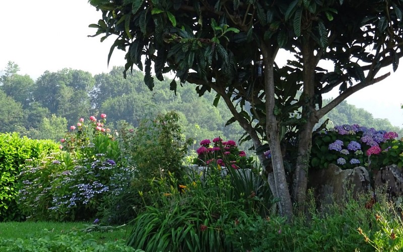 IMAZ jardin2 1440x900