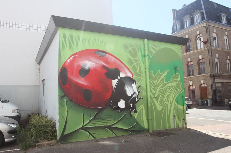 Street Art - Coccinelle - Ecloz