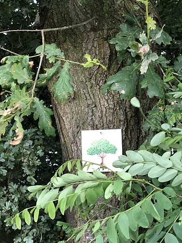 Image00009
