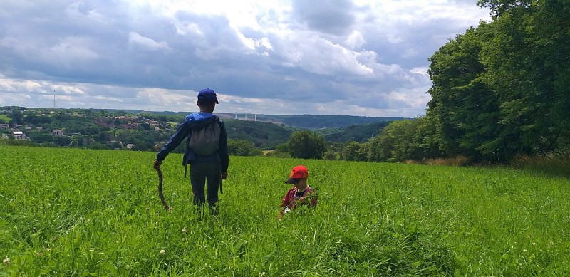 Enfants dans le pré