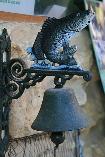 Pêche en étang moulin de Boissonnie