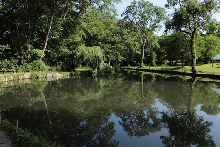 pisciculture-moulin-boissonnie-douzillac 