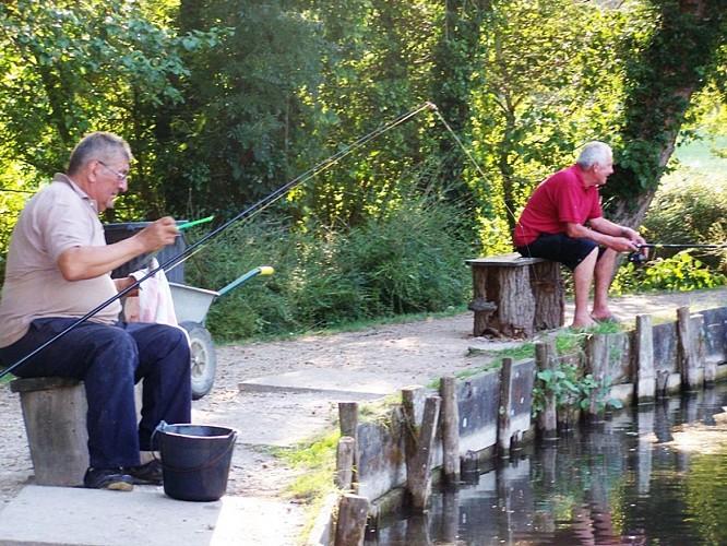 pisciculture moulin de Boissonnie Douzillac  étang de pêche