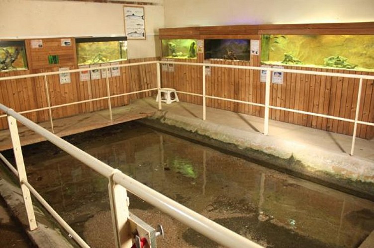 Aquariums du Lavoir