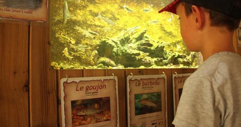 Aquariums du Lavoir_1