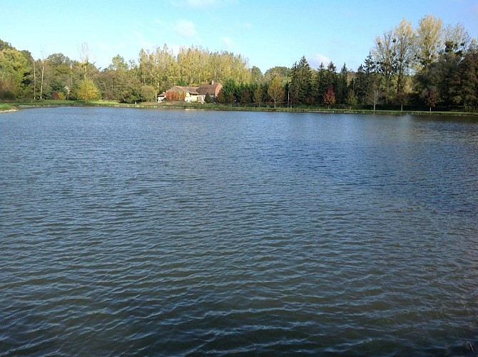 Etang du Roy