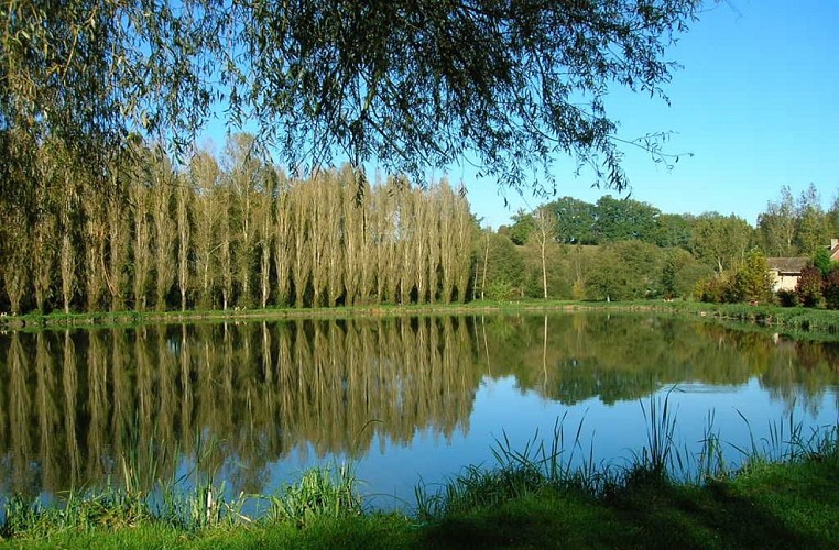 Etang du Roy