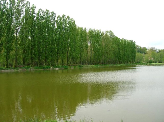 Etang du Roy