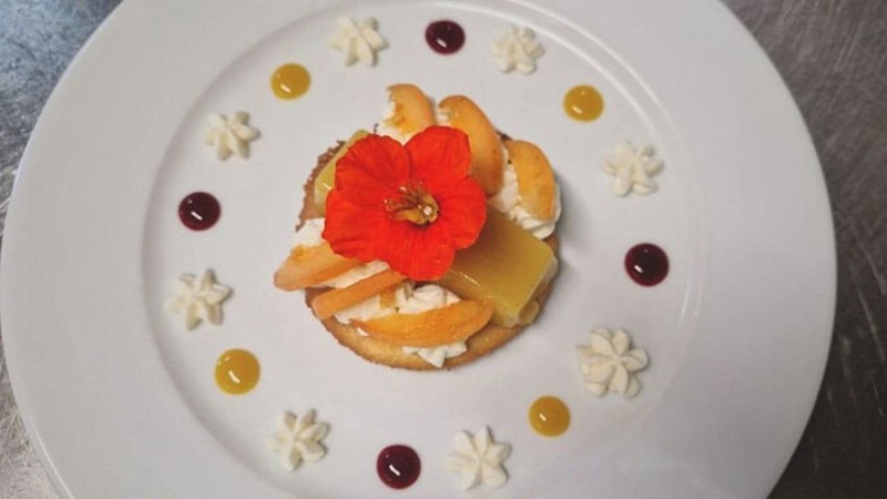 Design sans titre - 1