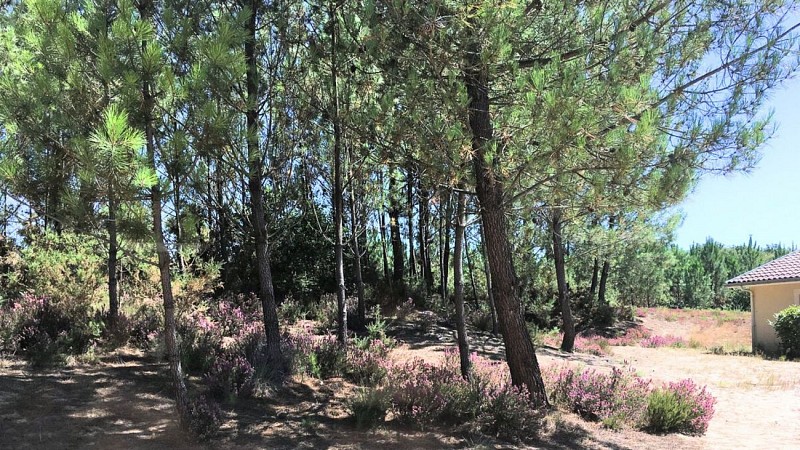 Design sans titre - 1