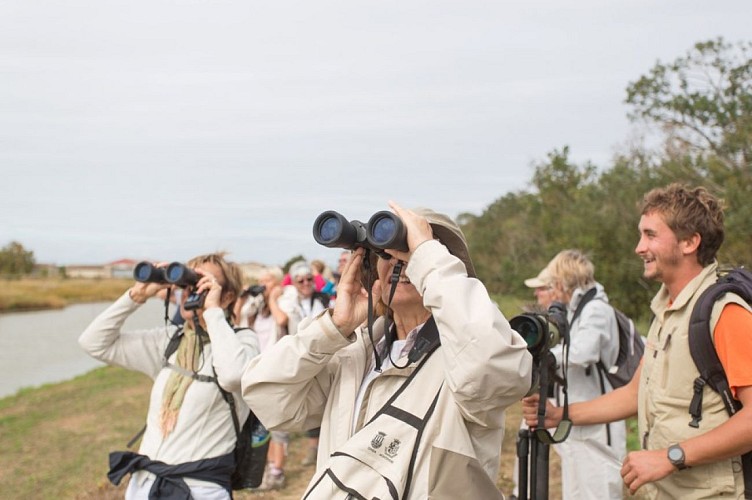 Visite Touristique de l'Ile Nouvelle (Estuaire de la Gironde)