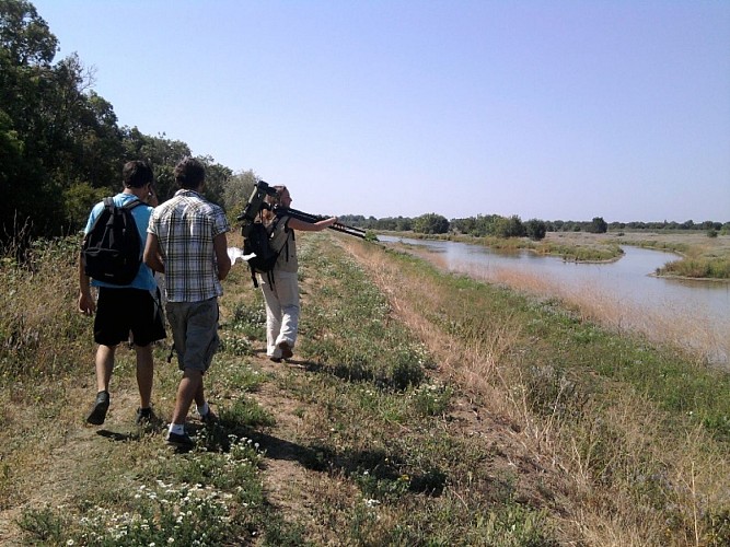 ile-nouvelle-blaye-estuaire-gironde-800x600---blaye-tourisme