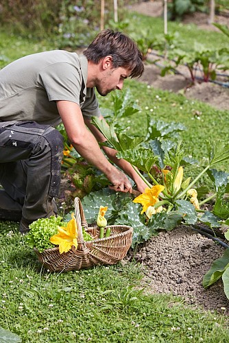 GARDEN_033_
