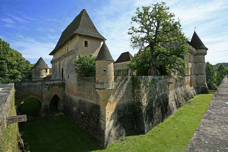 Chateau de losse_douves
