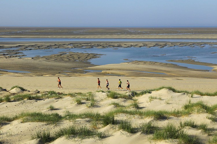 La Baie d'Authie