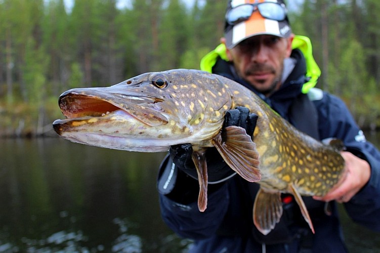 Guide de pêche : Cédrick Plasseau
