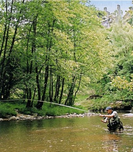 Parcours de graciation de Treignac