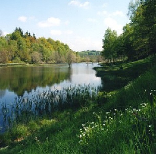 Etang du Portail_1